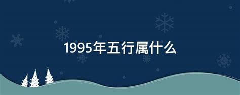 1995是什麼年|1995年是什么年